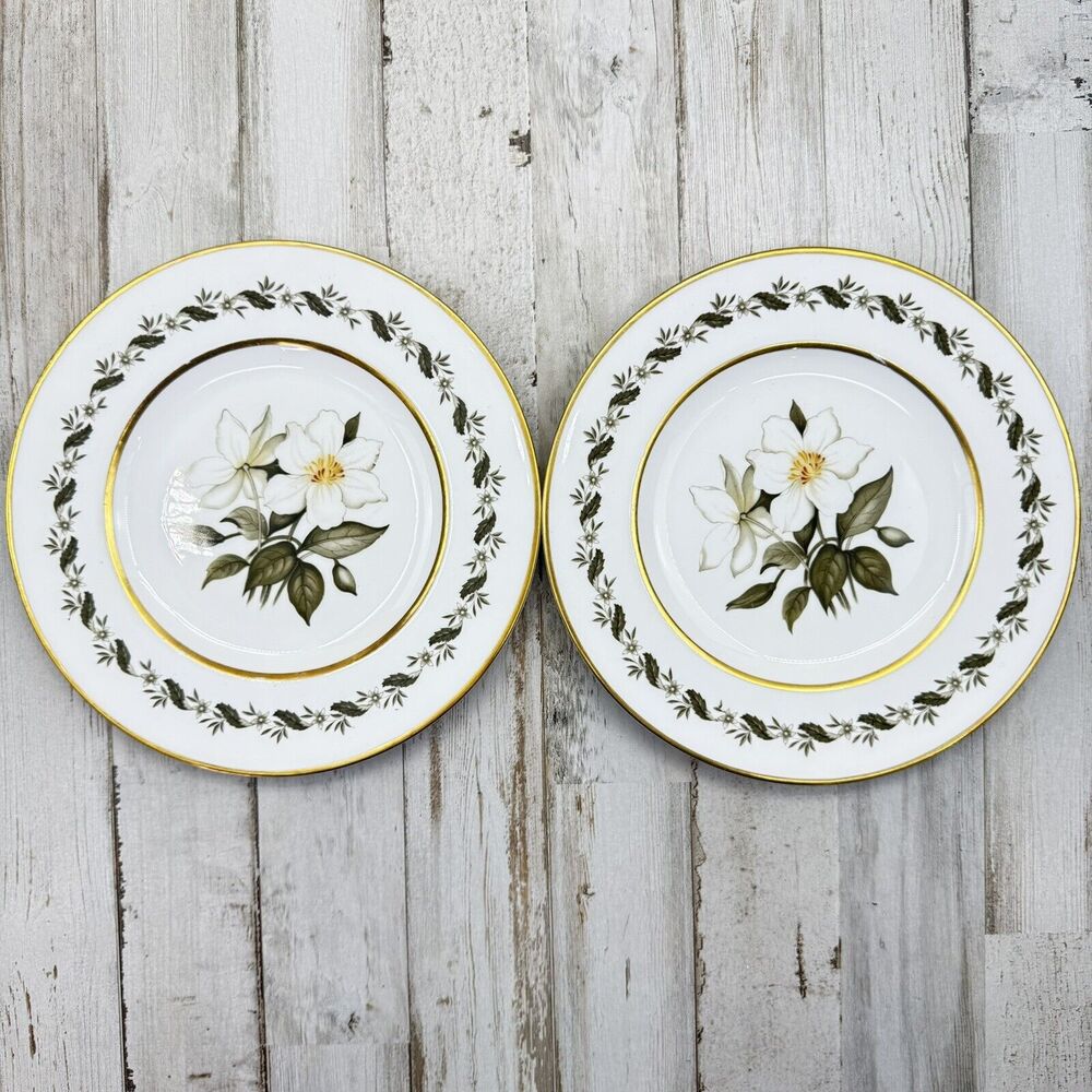 2 Vintage Royal Worcester Bernina 8” Salad Dessert Plates Made In England Flaw